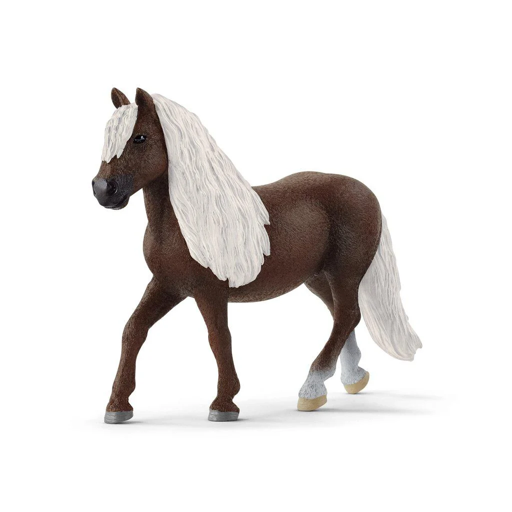 Black Forst Mare