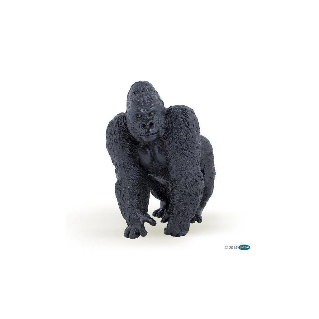 Silverback Gorilla