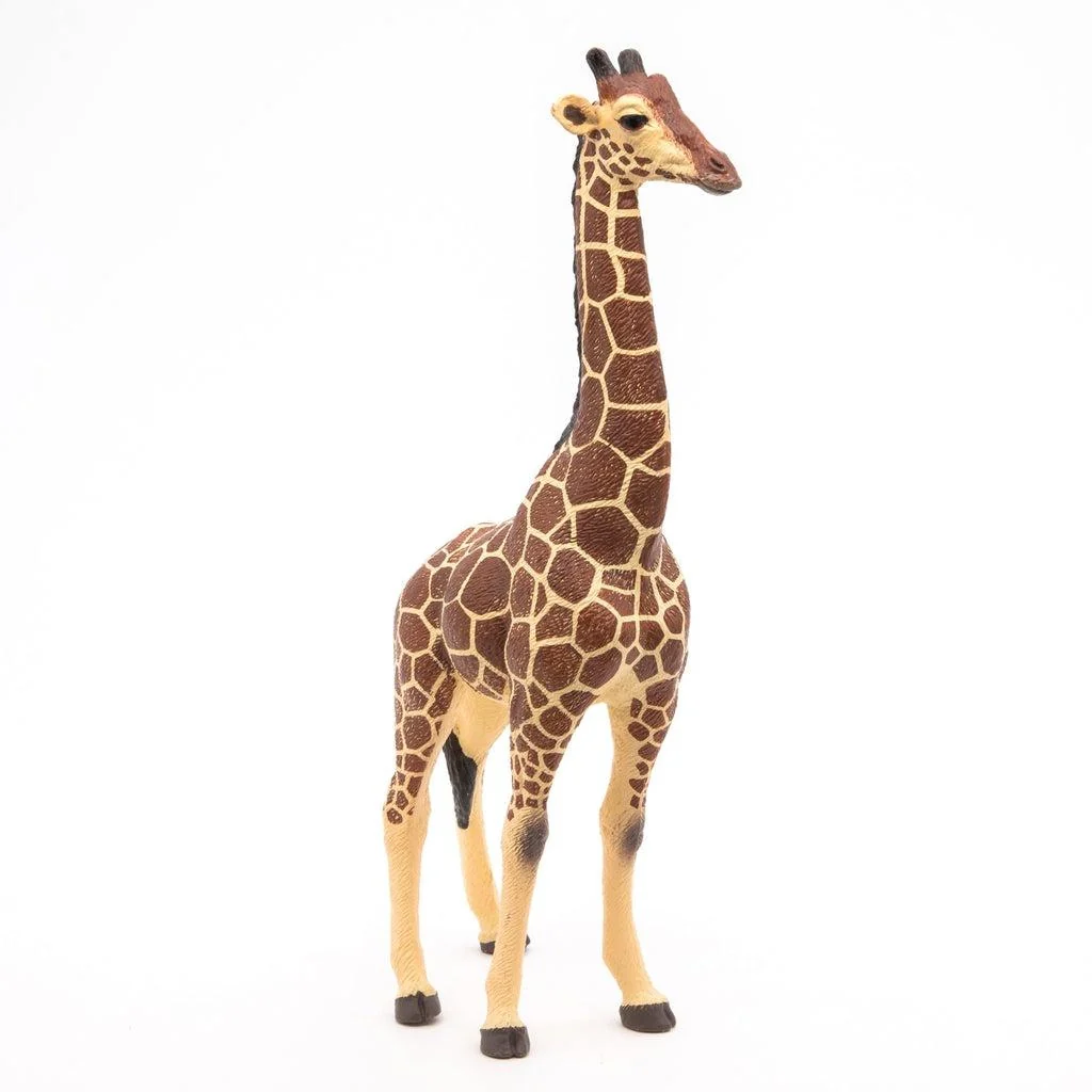 Giraffe Male