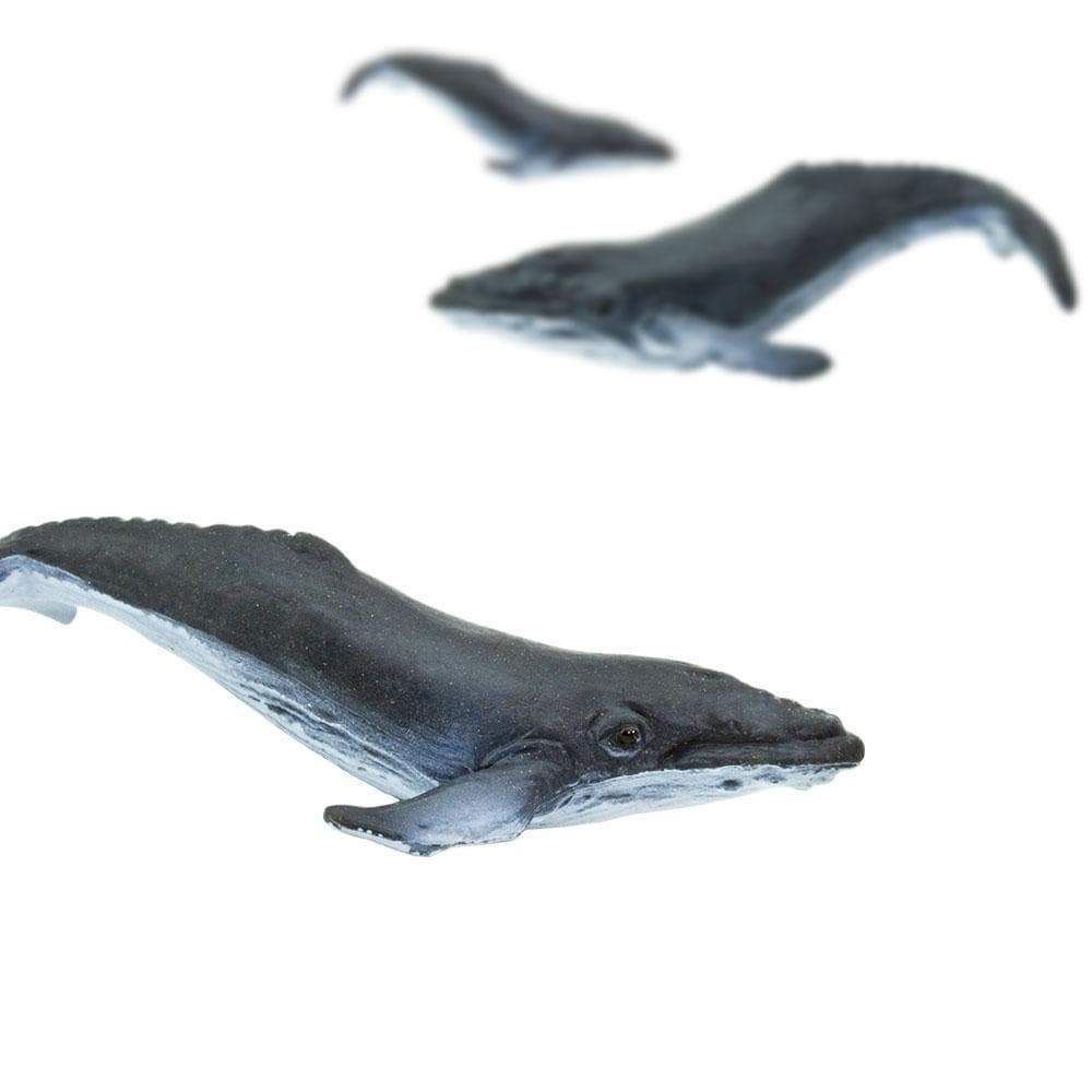 Humpback Whales Good Luck Mini