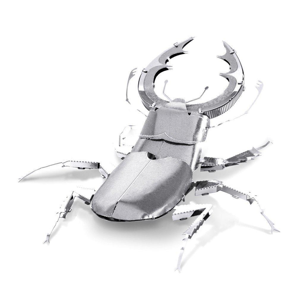 Stag Beetle